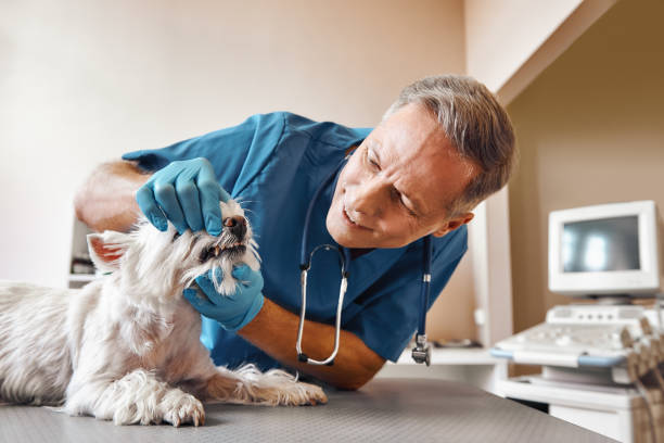 Best After-Hours Dental Care in Riverview, MO